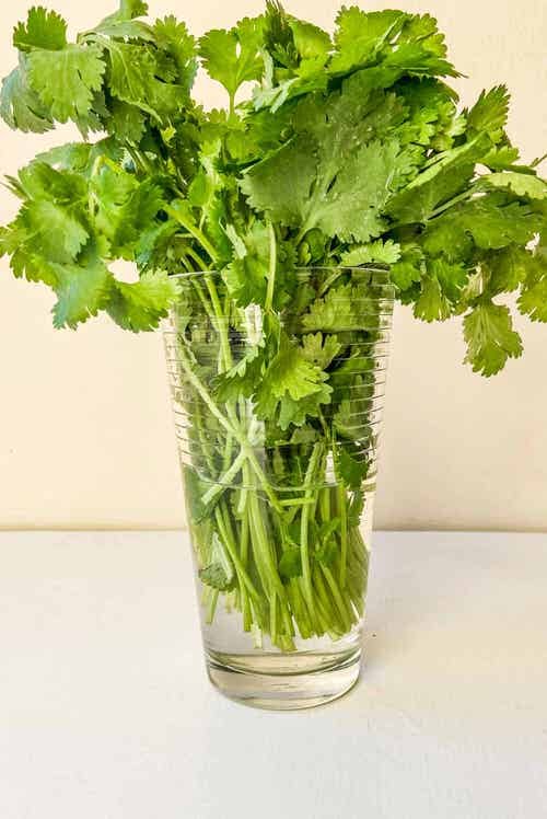 best Herbs You Should Never Keep in Fridge and Why