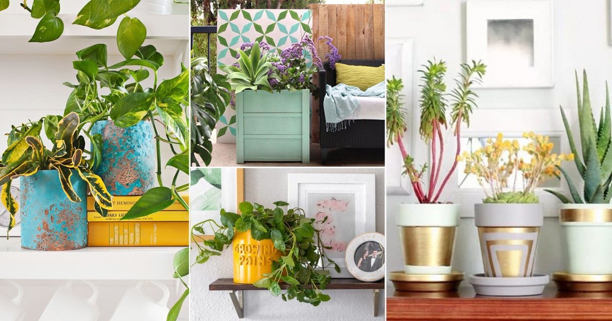 20 Ideas to Cheap into Expensive DIY Planters