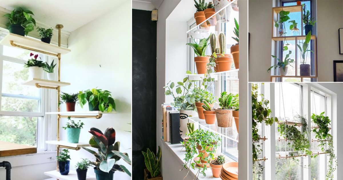 26 Indoor Window Shelf Ideas For Plants2 