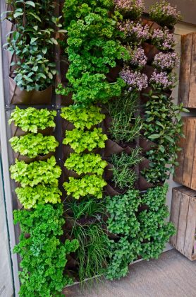 15 Edible Living Wall Ideas for Small Spaces | Balcony Garden Web