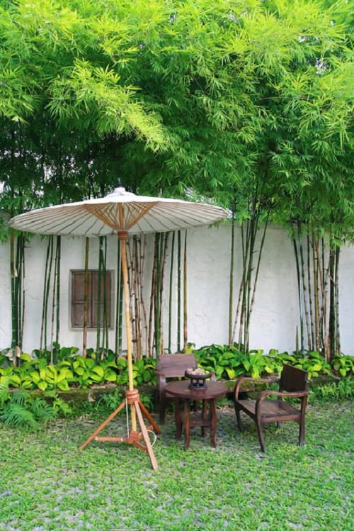 23 Fantastic Landscaping with Bamboo Ideas That Will Inspire You - BlogNews