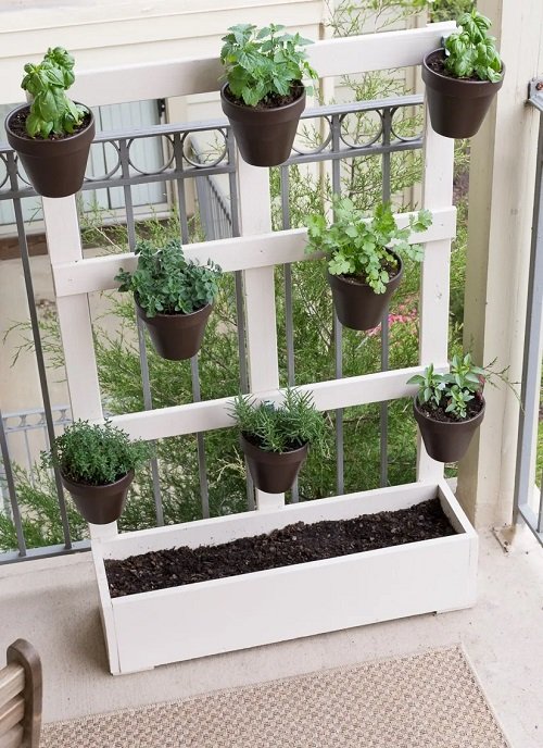 Tips for Successful Balcony Herb Garden