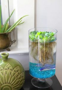 15 DIY Desktop Water Garden Ideas | Balcony Garden Web