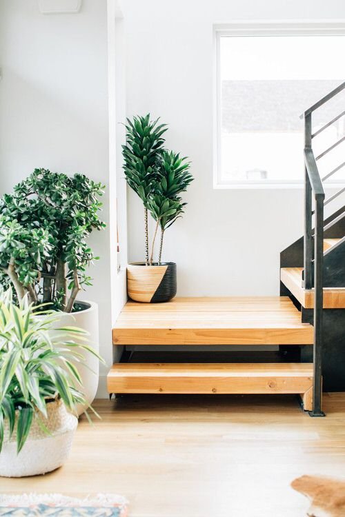 Indoor Garden on the Staircase 27