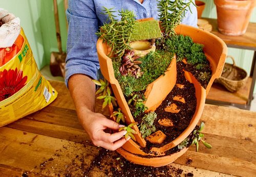 Instant Garden Makeover Tips in Budget 4