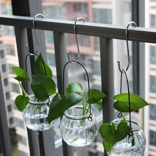 Clever Plant Hanging Hacks that Won't Damage Your Ceiling or Wall 5
