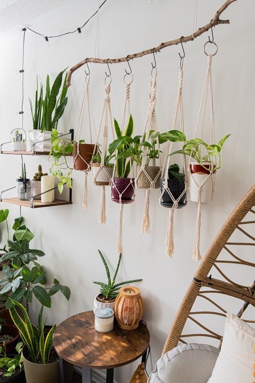 Clever Plant Hanging Hacks that Won't Damage Your Ceiling or Wall 6