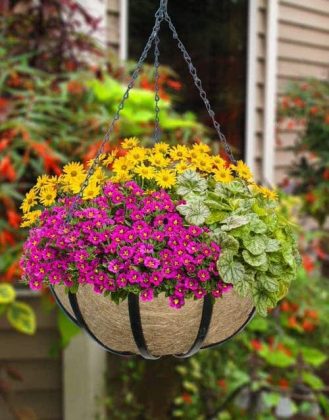 13 Instant Garden Makeover Tips in Budget | Balcony Garden Web