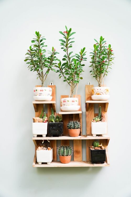 Genius Space Saving Moves to Grow More Indoor Plants in Your Apartment 3