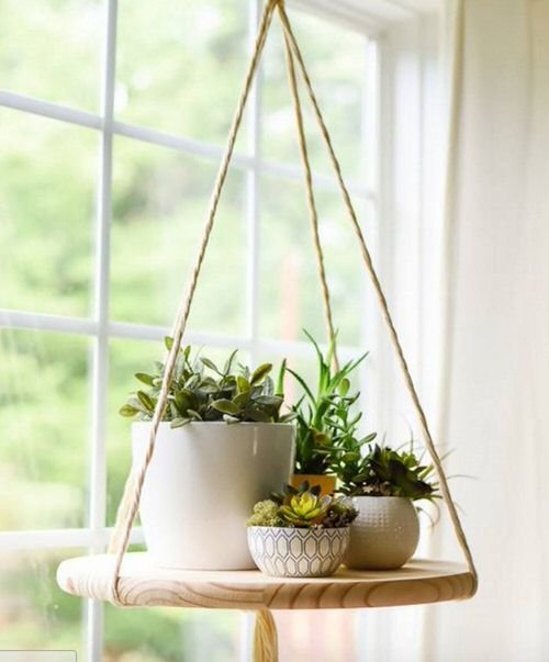 Genius Space Saving Moves to Grow More Indoor Plants in Your Apartment 5