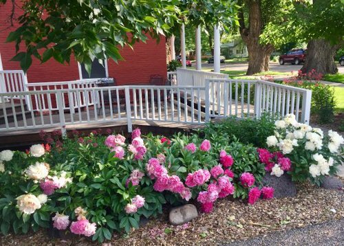 Amazing Flower Bed Ideas for Your Home Garden 11