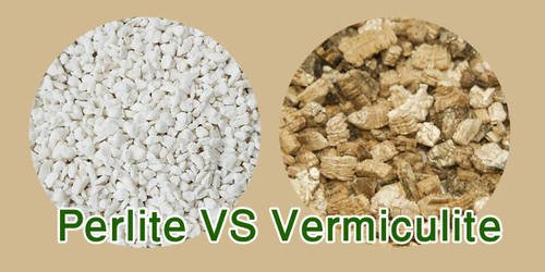 Perlite Vs Vermiculite: Which One to Choose