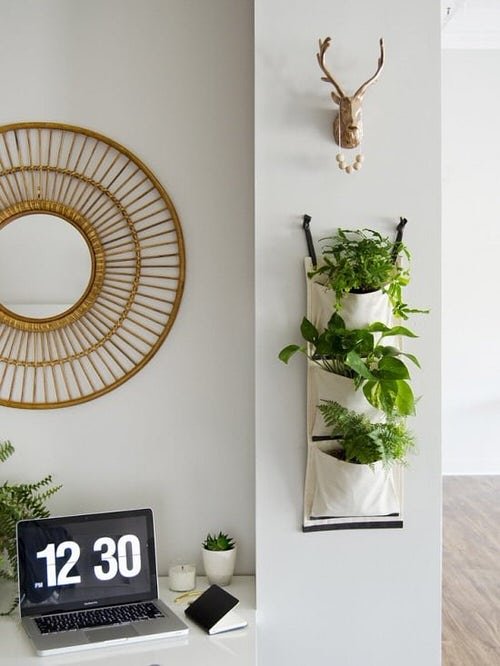 Ideas for Styling Indoor Plants 6