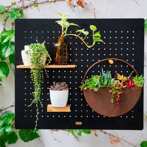 Clever Ways to Use Pegboards for Plants 7