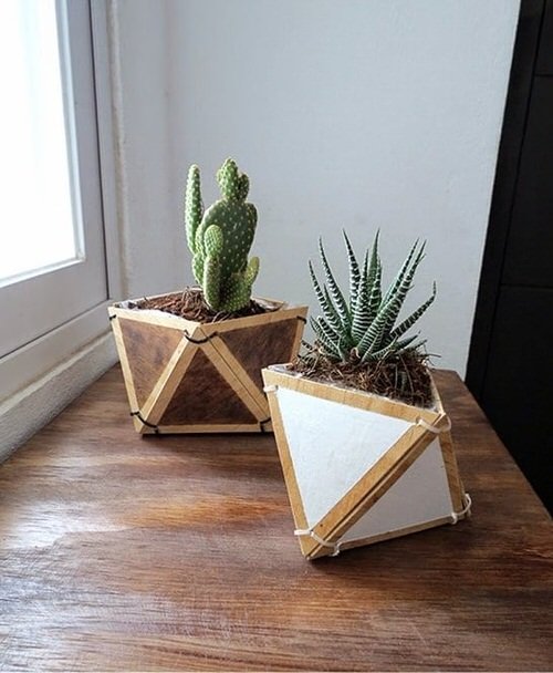 Ideas for Styling Indoor Plants 7