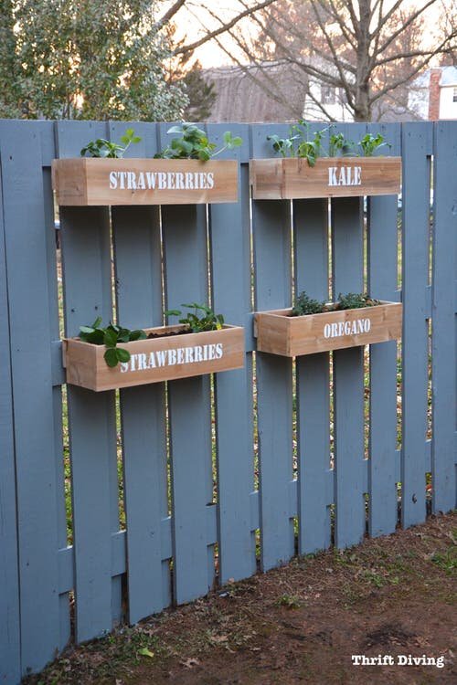 DIY Fence Planter Ideas 10