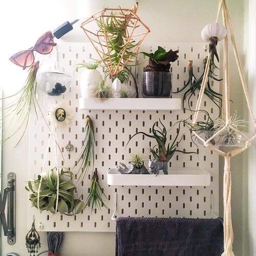 Clever Ways to Use Pegboards for Plants 8