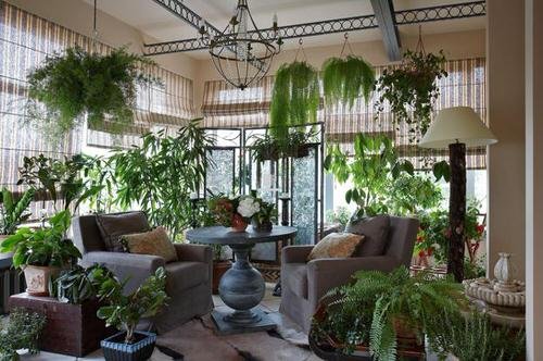 35 Stunning Sunroom Ideas With Plants