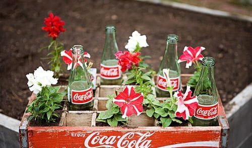 Old Coca Cola and Pepsi Bottles Turned into Treasures in Garden