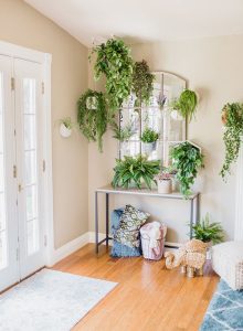 24 Stunning Pictures of Hanging Indoor Plants on Entrance