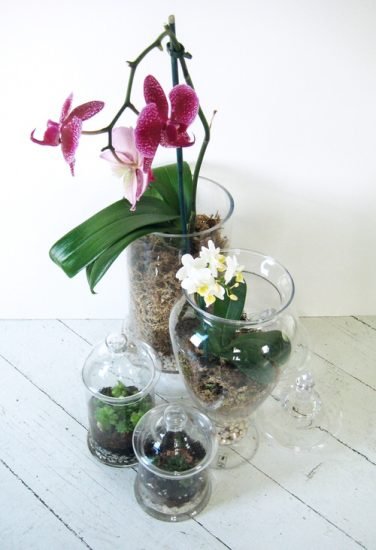 18 Orchid Planter Ideas | Best Ideas to Display Orchids | Balcony ...