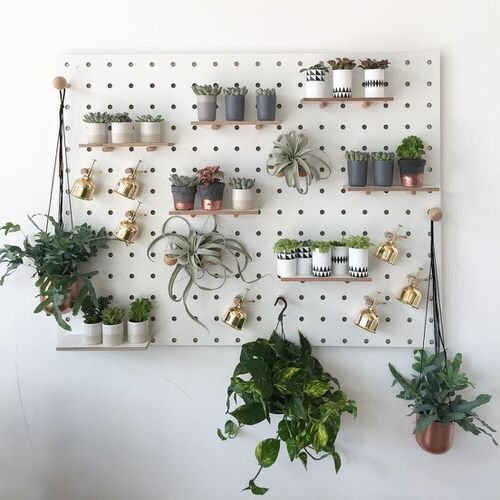 Clever Ways to Use Pegboards for Plants