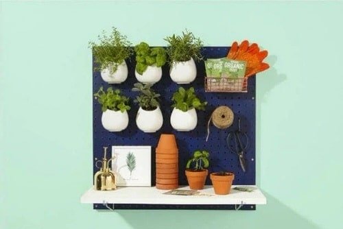 Clever Ways to Use Pegboards for Plants 11
