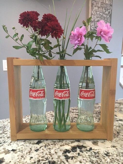 Old Coca Cola and Pepsi Bottles Turned into Treasures in Garden 3