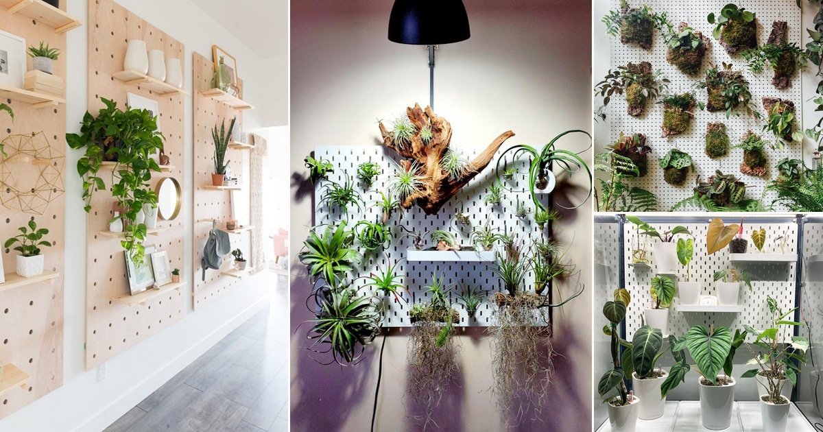 How to hang a pegboard plant wall