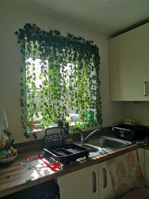 Green Plants As a Curtain 9