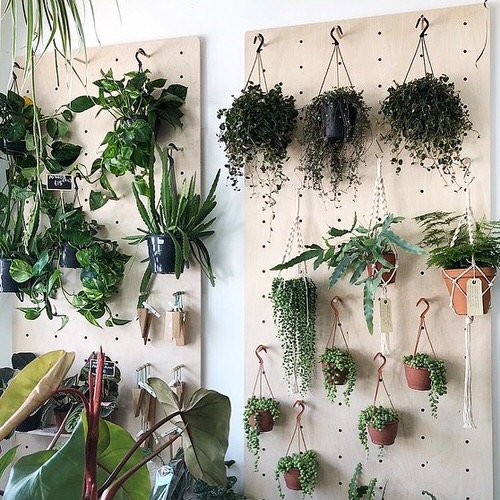 Clever Ways to Use Pegboards for Plants 2