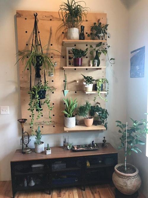 Clever Ways to Use Pegboards for Plants 4