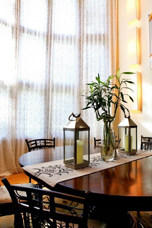 Best Places in Home to Keep Lucky Bamboo 2