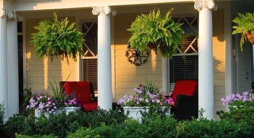 Front Porch Decoration Ideas with Ferns