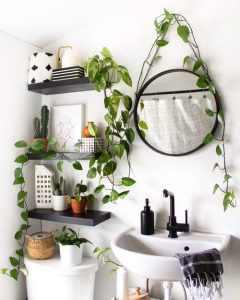 22 Space Saving Indoor Plant Ideas For Smaller Rooms