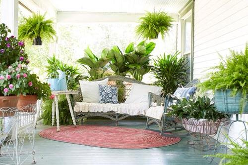 Front Porch Decoration Ideas with Ferns 3