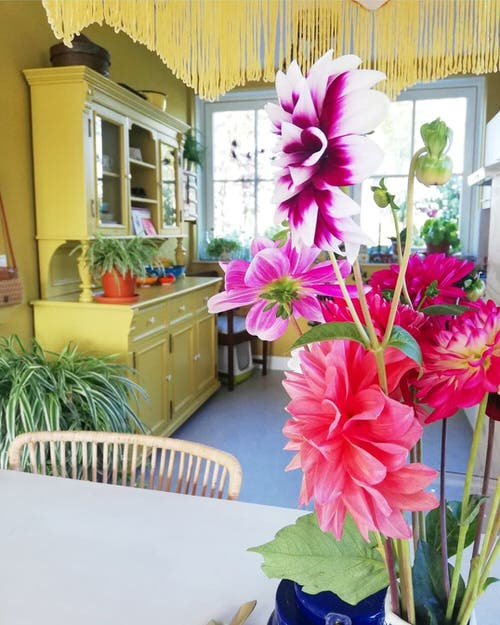Colorful Indoor Space Ideas with Plants 6