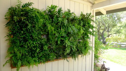 Front Porch Decoration Ideas with Ferns 6