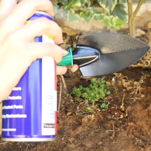 How to Use Common Household Things in Your Garden 12