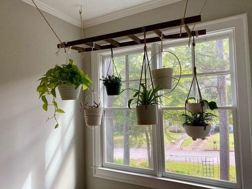 Unique Ways to Use Ladders to Display Houseplants 3