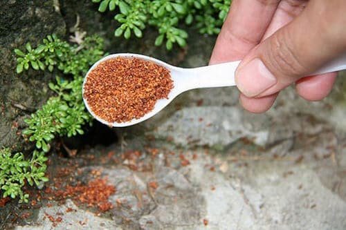 Ant Killer Recipes for the Garden 8