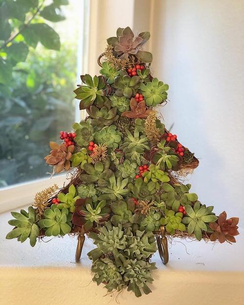 Colorful Succulent Christmas Tree