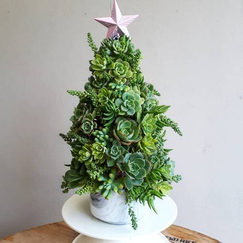 Succulent Christmas Tree 20
