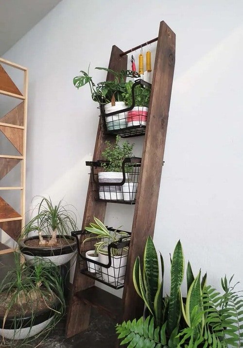 Unique Ways to Use Ladders to Display Houseplants 4