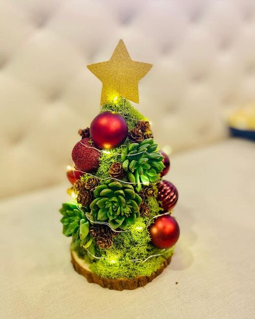 Moss and Succulent Christmas Tree