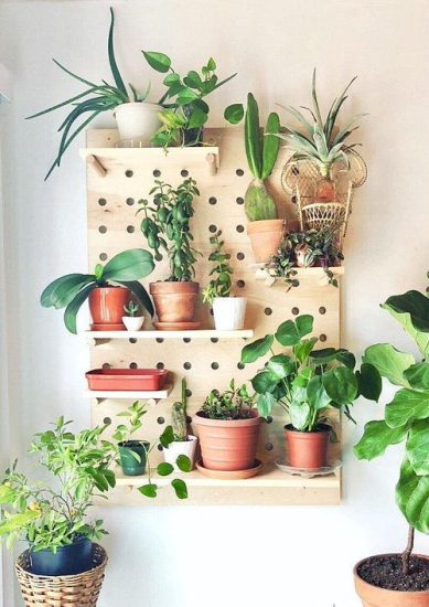 23 DIY Indoor Plant Wall Projects Anyone Can Do | Living Wall Ideas For ...