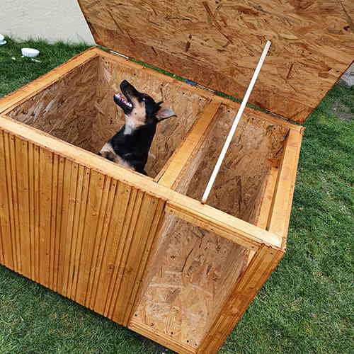 DIY Outdoor Dog House Ideas for Winters 2