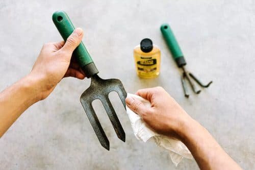 garden tool rust free by using olive oil