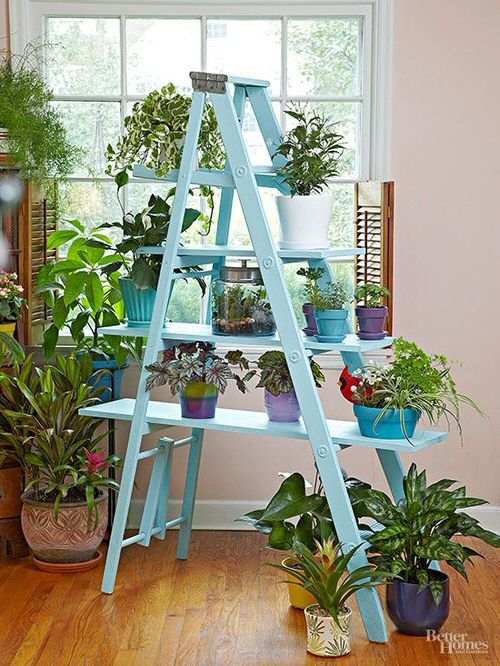 Unique Ways to Use Ladders to Display Houseplants 2