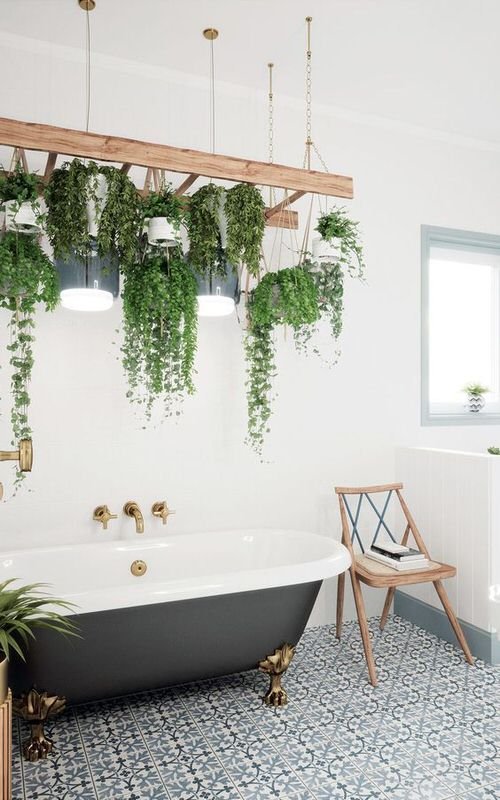 Unique Ways to Use Ladders to Display Houseplants 6